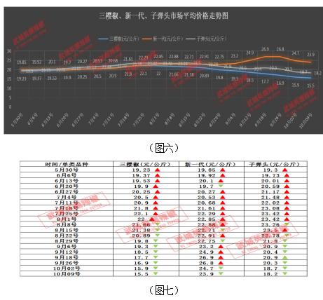 今日鮮辣椒價格行情分析報告