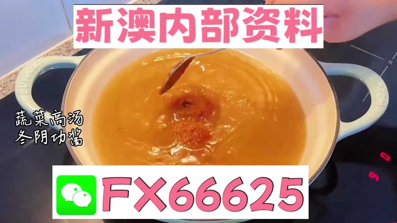 澳門正版全年資料期期準,實地評估說明_免費版64.447