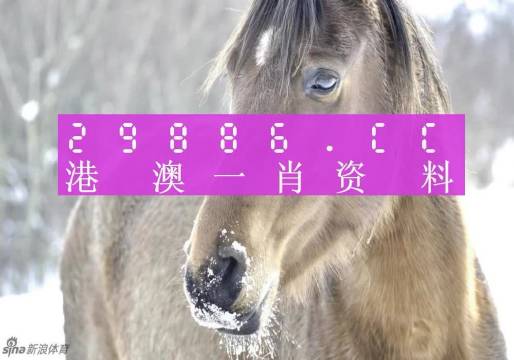 澳門(mén)精準(zhǔn)一肖一碼100%,絕對(duì)經(jīng)典解釋落實(shí)_4K77.660