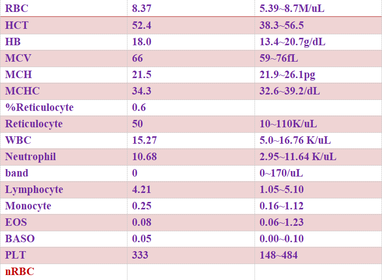 626969澳彩資料大全2021期42,經(jīng)典解釋落實(shí)_尊貴版29.287