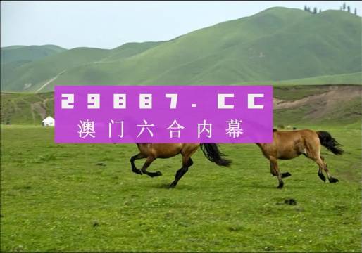 全網(wǎng)最精準(zhǔn)澳門資料龍門客棧澳,絕對經(jīng)典解釋落實_投資版32.994