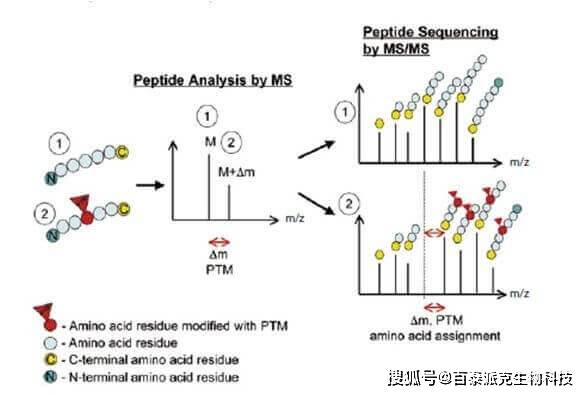 新澳門今晚開獎結(jié)果號碼是多少｜廣泛的解釋落實方法分析