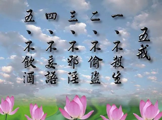 新澳門(mén)今晚開(kāi)獎(jiǎng)結(jié)果 開(kāi)獎(jiǎng)｜詞語(yǔ)釋義解釋落實(shí)