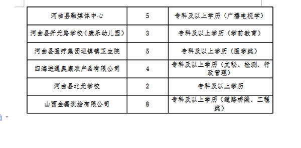 河間市數(shù)據(jù)和政務(wù)服務(wù)局最新招聘公告解讀