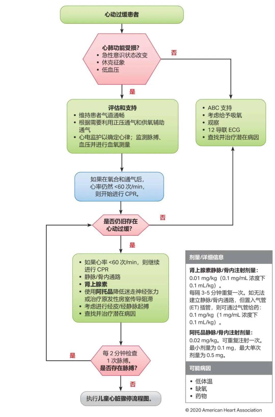 解讀2022心肺復(fù)蘇最新指南，關(guān)鍵步驟及改進(jìn)方向概覽